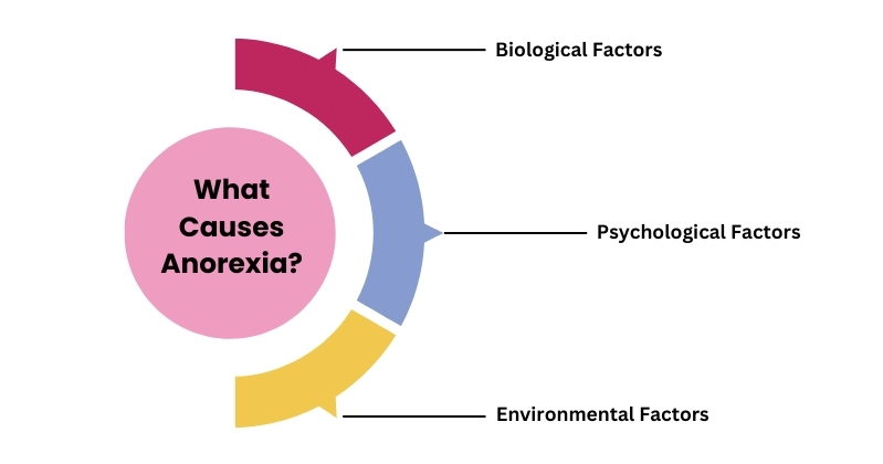 What Causes Anorexia