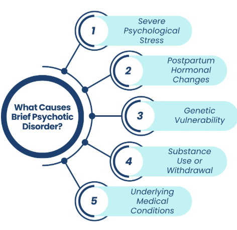 What Causes Brief Psychotic Disorderss